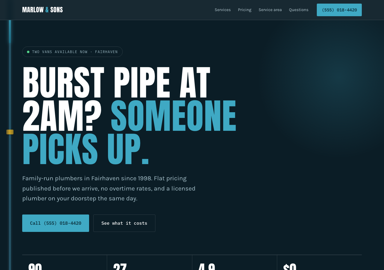 Homepage of a plumbing website with a large headline, call button and key statistics on a dark navy background